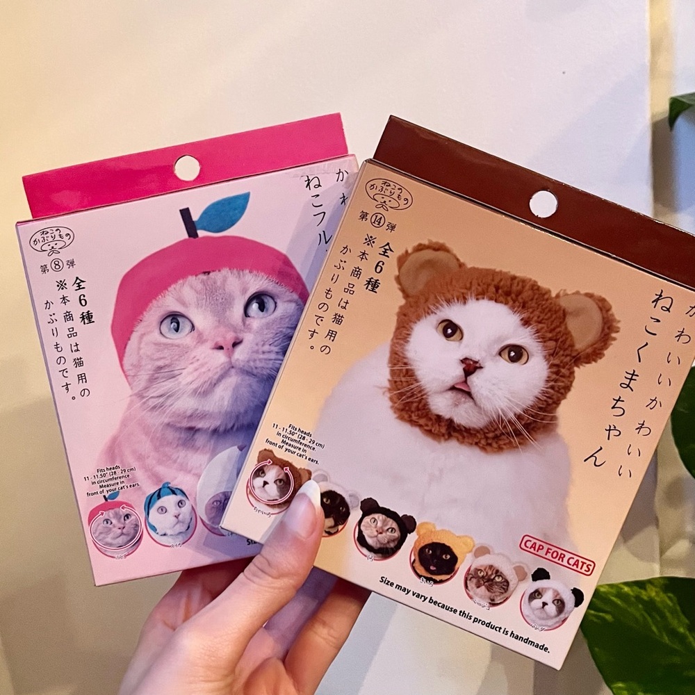 🐾 cat cap blind boxes x2